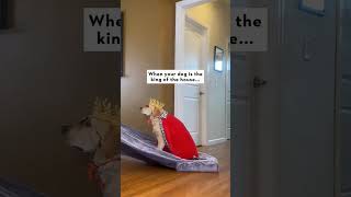 Funny prank videos #foryou #funnyvideos #funny #viralvideo