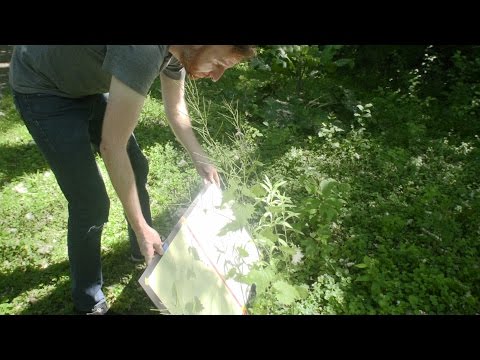 Video: Inde i edderkoppespindet: en fantastisk labyrint lavet af tape