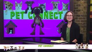 Pet Connect - 08/23/2023