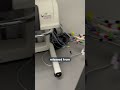 Vision G2 Elite 8 Auto Dose Delivery In The Lab #dissolution