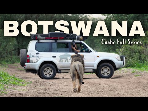 CHOBE National Park,