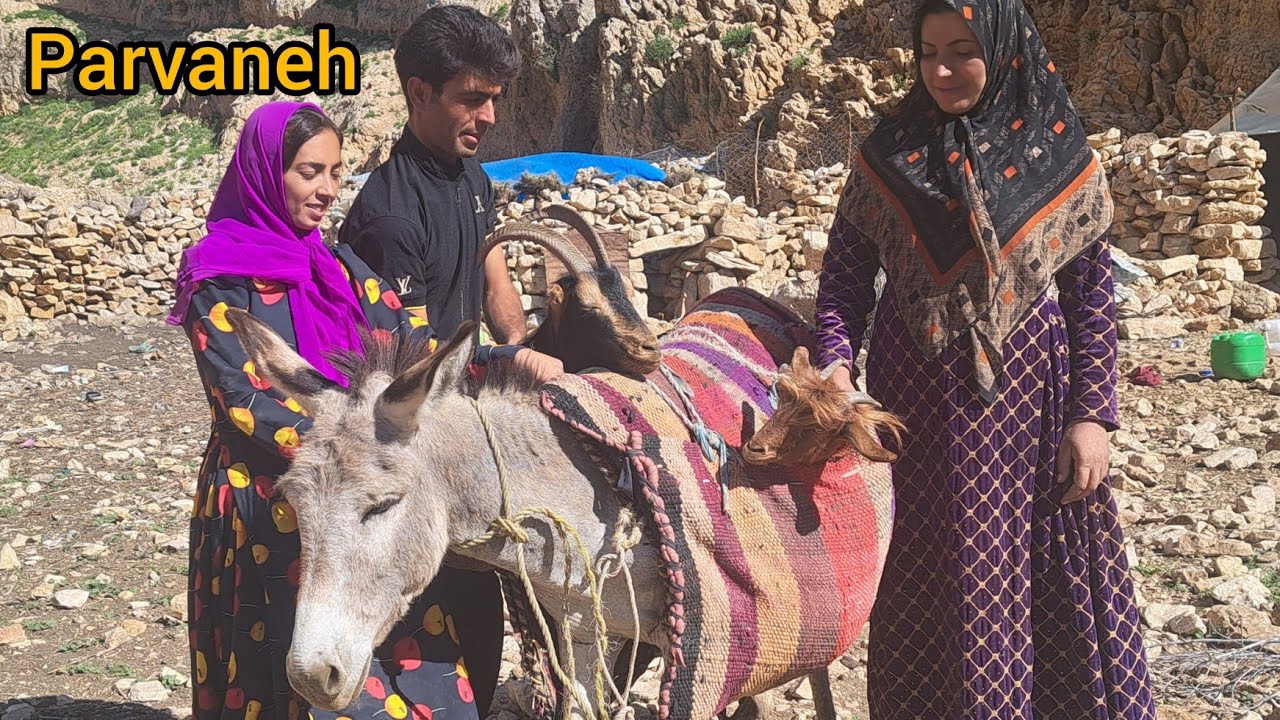 Yusuf's trip to the city to buy a solar panel by selling a goat