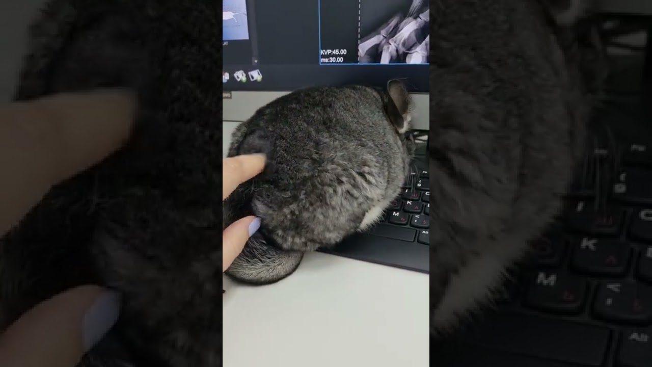 Ребёнок уронил и не признался 😵