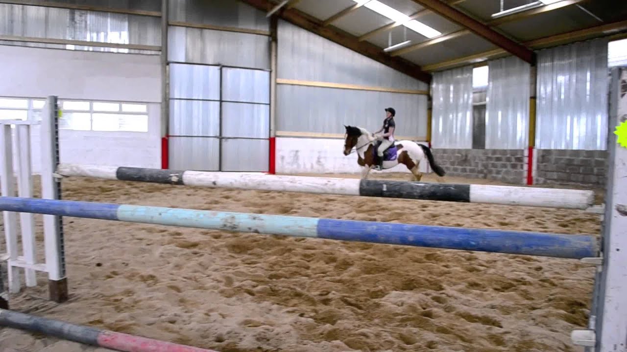 Murphy being a wee pro :)