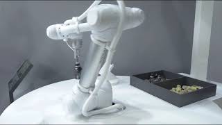 Doosan Robotics - Bin Picking