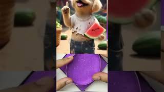 The Hungry Dog & the Magic Seed 🌱 | Heartwarming Moral Scroll Story | English Shorts