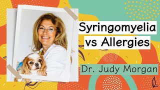Syringomyelia vs Allergies with Dr. Judy Morgan