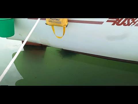Les algues nous font la misère, elles se sont enroulées autour de l'hélice.