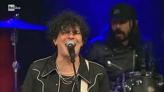 Video thumbnail of ""Catene" - The Zen Circus, live alla serata "Save the children""