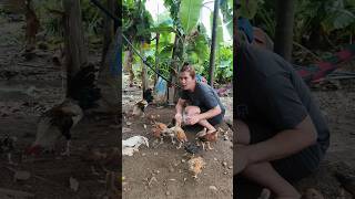 #shortvideo #goodvibes #youtubeshorts #youtubevideo #youtube