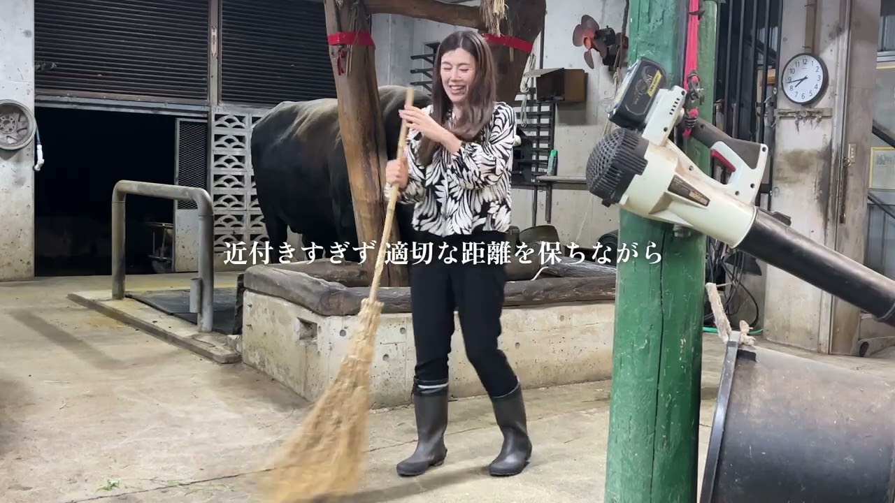 なぜ四十路の私が闘牛好きになったのか？ 〜闘牛たちとのふれあいを添えて〜