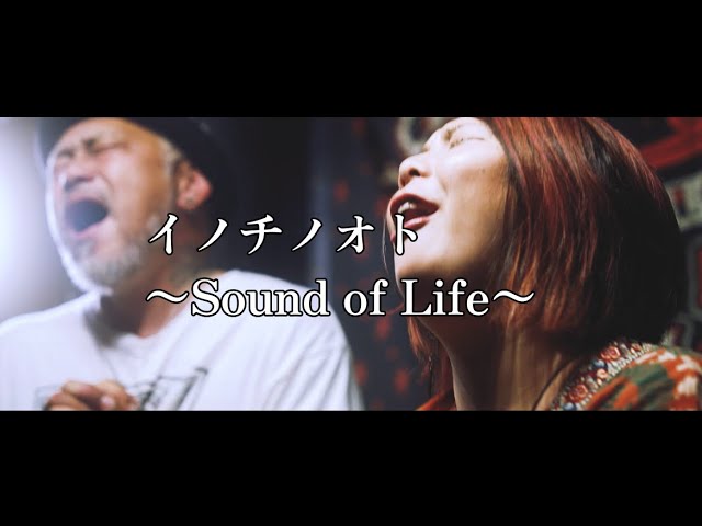 井上昌己 - 瞳（まなざし） - YouTube