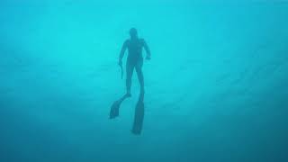 AMBA0006 a dive in the canyon
