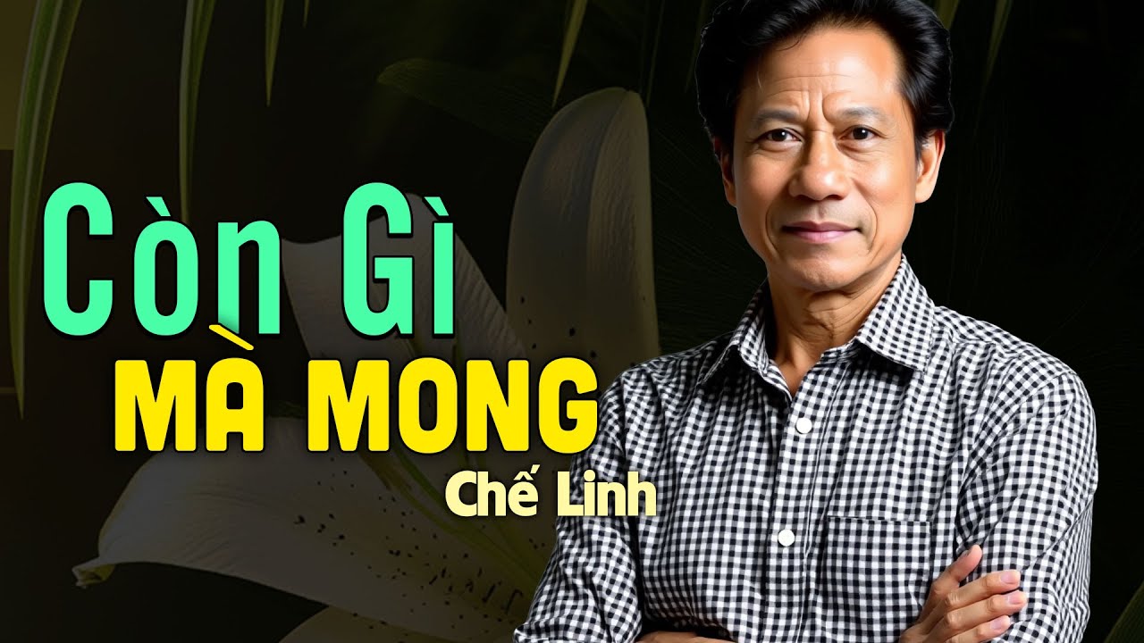 CÒN GÌ MÀ MONG - Chế Linh (Nhạc Xưa) | Nhạc Vàng Xưa Bất Hủ Một Thời
