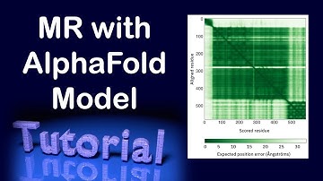 Using an AlphaFold model for molecular replacement