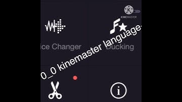 Kinemaster you need to watch ur mouth