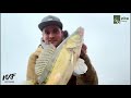 Zander angeln mit jighaken  gummifisch mit zite teamangler nexfishing kurze erfolgreiche session