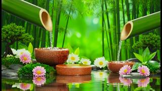 Deep Healing and Meditation Music, Calm Mind 🌿 Relaxing Sleep Music to Relieve Anxiety