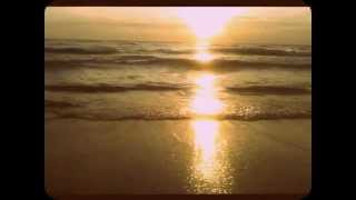 Walmartians - A Neu Day