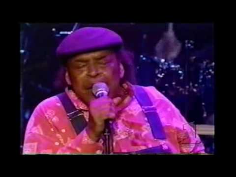 6 Rocket 88 Blues Brothers On Parole And In Concert