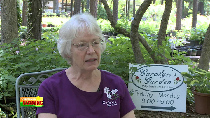 Carolyn's Garden- a unique nursery on the outskirt...