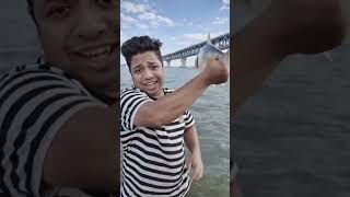 পদ্মা নদীতে ইলিশ মাছ ধরা! ⚓️ Catching Hilsa Fish in Padma River #shorts #fishing