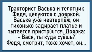 Как Федя и Вася доярку споили! Сборник свежих анекдотов! Юмор!