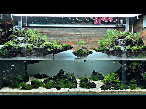 Video Hồ thủy sinh bán cạn nhà khách sau hơn 2 tháng... - youtube