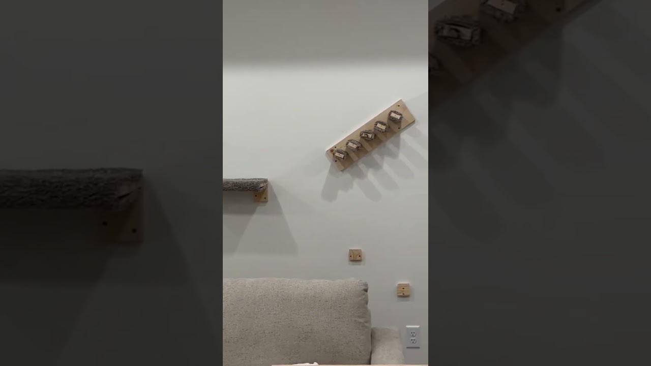 Building Mr. Klaus a cat bridge on the wall!