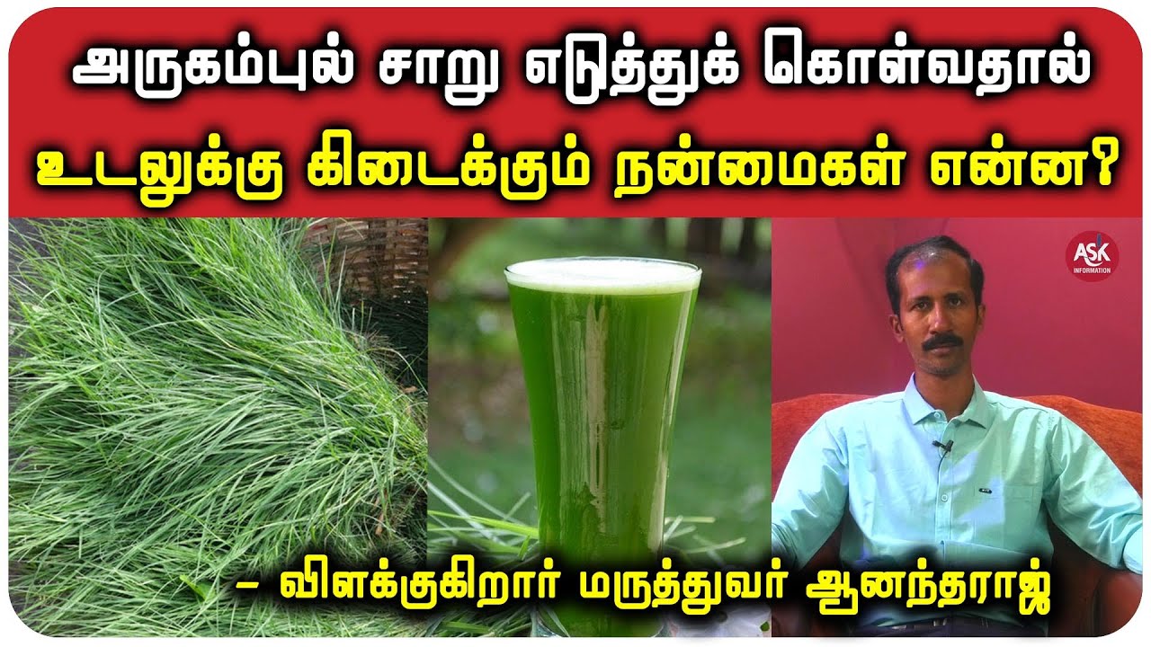 அருகம்புல் சாறு எடுத்துக் கொள்வதால் உடலுக்கு கிடைக்கும் நன்மைகள் என்ன? - மருத்துவர் ஆனந்தராஜ்