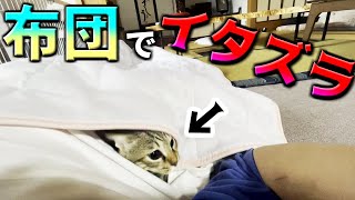 布団に潜り込んできて何やらゴソゴソ・・・