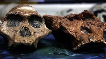 DISCOVERY OF NEWEST HUMAN RELATIVE | Texas A&M Professor Explains