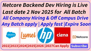 Direct Test Hiring From Netcore, HP, Lumel, Ciena, Salesforce |2022, 2023, 2024, 2025, 2026 Batch