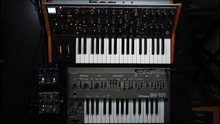 Analog synth jam with the Roland SH-101, Moog Subsequent 37, Walrus Sloër, Source Audio Ventris