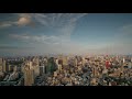 悲しくてやりきれない(short cover)