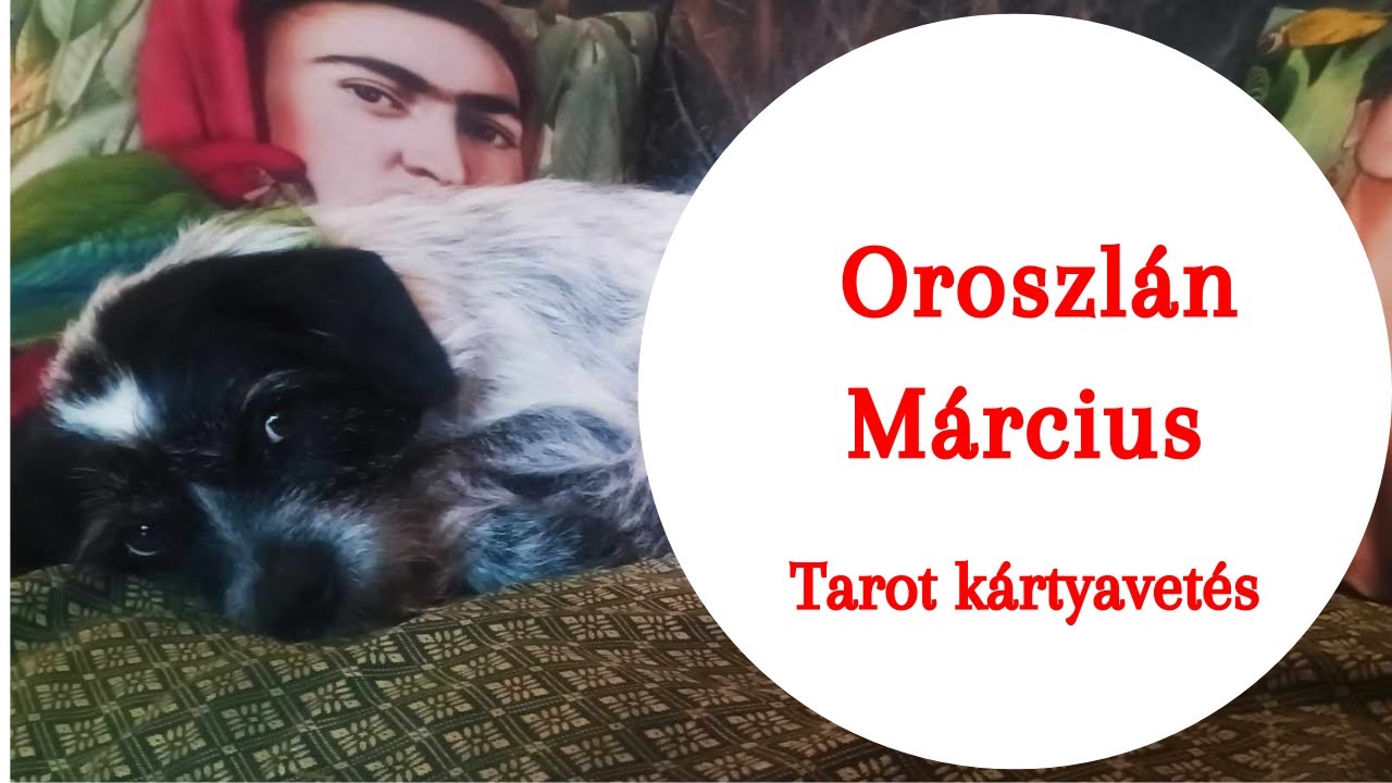 ” Amit fel akarsz adni, és amit nem 