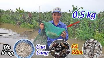 Thăm dớn miền tây mùa nước nổi | Trúng đậm cá tép cua | Hảo MT #4