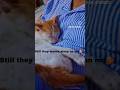 My Mimi & Leo #trending #trendingshorts #viral #fashion #diy #cat #catvideos #happy #shortvideo