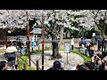 【4KTokyo】東京さくらコレクション（靖国神社、千鳥ヶ淵）／Walking Tokyo Sakura Collection/Yasukuni Shrine and Chidorigafuchi