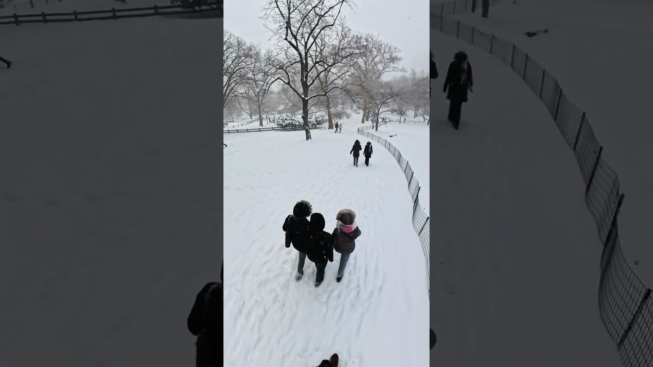 NYC Central Park & Columbus Circle Snowstorm Walk