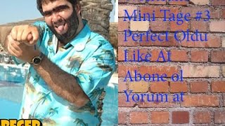 Wolfteam Mini Tage #3  Perfect !