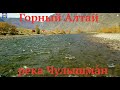 Горный Алтай река Чулышма́н золотая осень