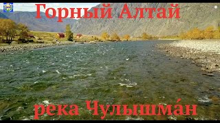 Горный Алтай река Чулышма́н золотая осень