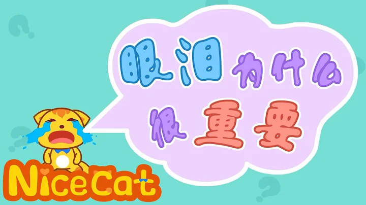 【貓小帥故事】 | 眼淚為什麼很重要 | 兒童科普 | 生活科普 | 科普故事 | 貓小帥視頻 - 天天要聞