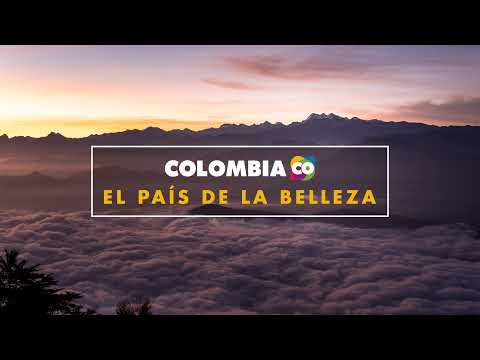 Visita Oficial del