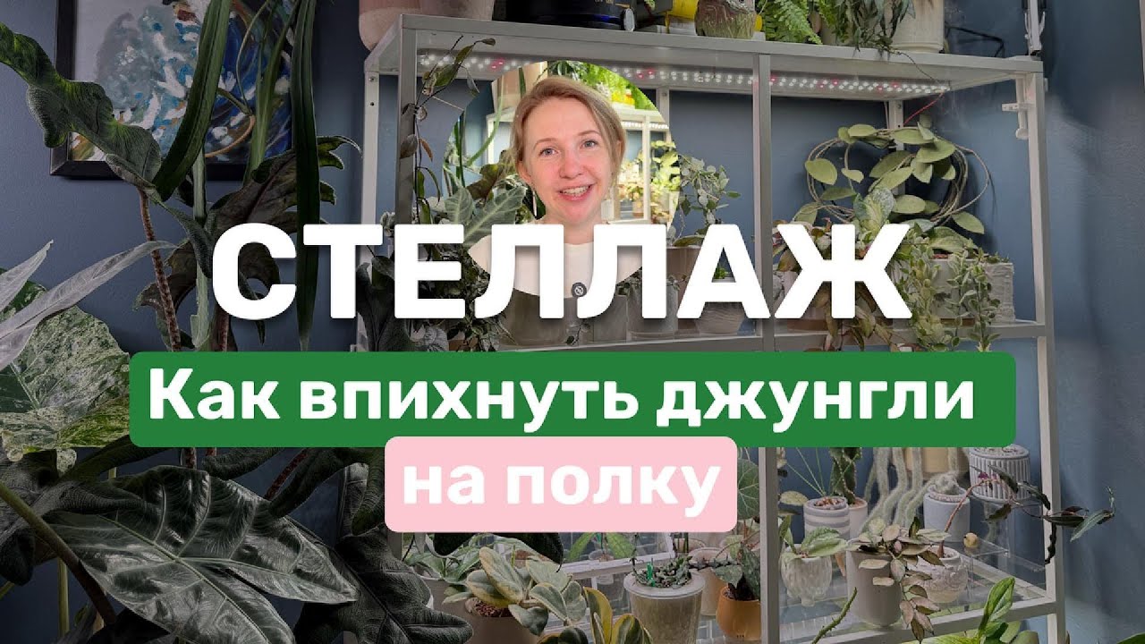 СТЕЛЛАЖ: свет, обустройство, растения
