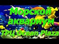 В гостях в ТРЦ Ocean Plaza Киев 20.04.23 морской аквариум