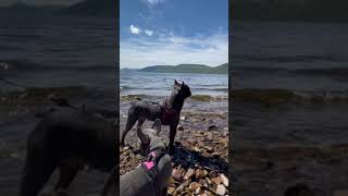 Lockness Monster Hunting