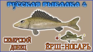 РР4 СЕВЕРСКИЙ ДОНЕЦ ЁРШ-НОСАРЬ / РУССКАЯ РЫБАЛКА 4 ЁРШ-НОСАРЬ / RUSSIAN FISHING 4 RUFF NOSAR