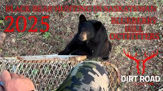 Black Bear Hunting In Saskatchewan At Blueberry Hill Outfitters Spring 2025